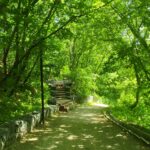 Sevastopoli prospekt park