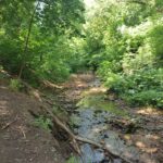 Sevastopoli prospekt park